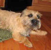 Cooper