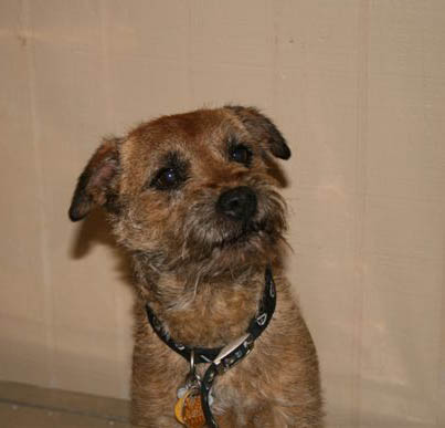 Kipper