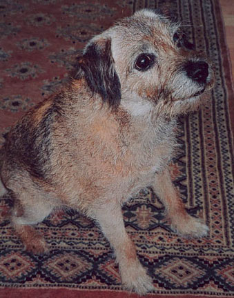 Rusty